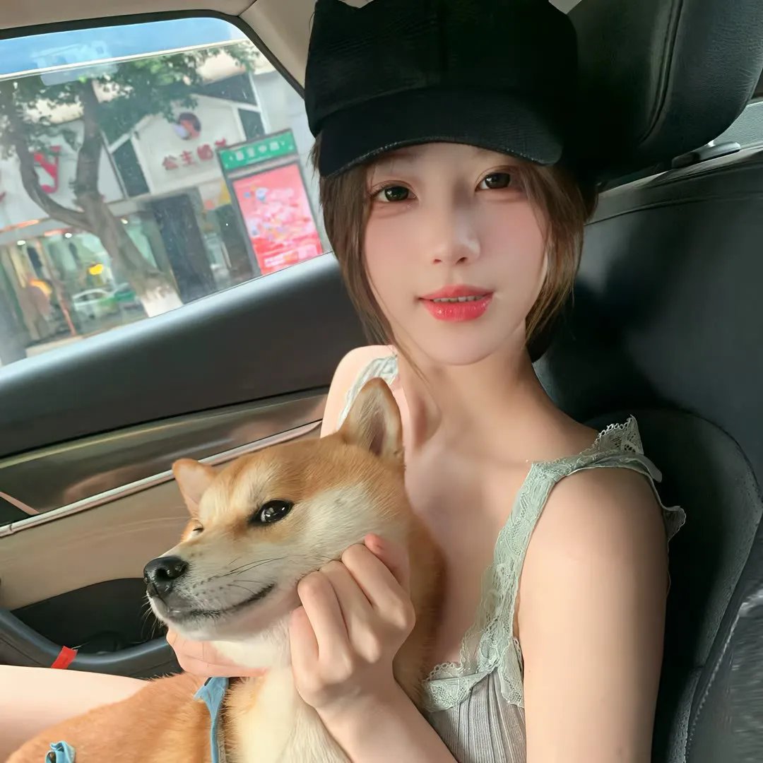 龙凤新舞